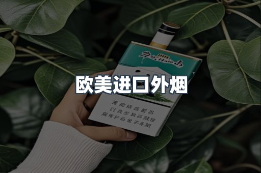 欧美进口外烟